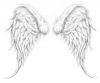 Angel wings tattoos designs pic